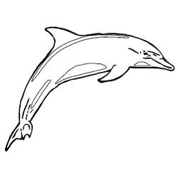 Раскраска: дельфин (Животные) #5099 - Бесплатные раскраски для печати