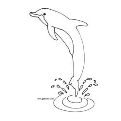 Раскраска: дельфин (Животные) #5101 - Бесплатные раскраски для печати