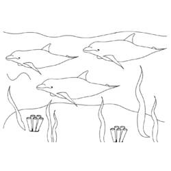 Раскраска: дельфин (Животные) #5109 - Бесплатные раскраски для печати