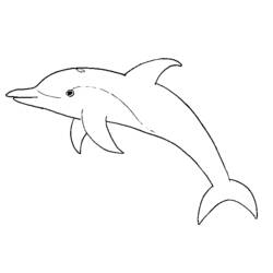 Раскраска: дельфин (Животные) #5114 - Раскраски для печати