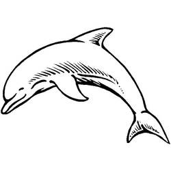 Раскраска: дельфин (Животные) #5120 - Раскраски для печати