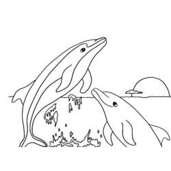 Раскраска: дельфин (Животные) #5128 - Бесплатные раскраски для печати