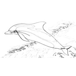 Раскраска: дельфин (Животные) #5140 - Раскраски для печати