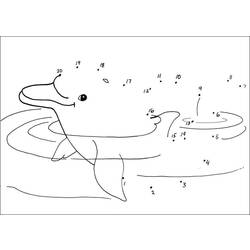 Раскраска: дельфин (Животные) #5149 - Раскраски для печати