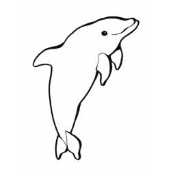 Раскраска: дельфин (Животные) #5151 - Раскраски для печати