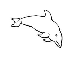 Раскраска: дельфин (Животные) #5161 - Раскраски для печати