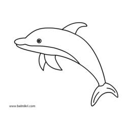 Раскраска: дельфин (Животные) #5162 - Раскраски для печати