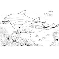Раскраска: дельфин (Животные) #5168 - Раскраски для печати