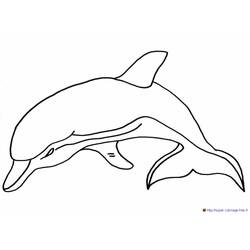 Раскраска: дельфин (Животные) #5186 - Раскраски для печати