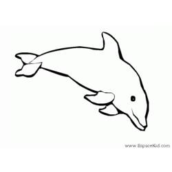 Раскраска: дельфин (Животные) #5209 - Бесплатные раскраски для печати