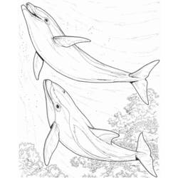 Раскраска: дельфин (Животные) #5216 - Бесплатные раскраски для печати