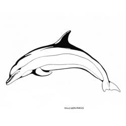 Раскраска: дельфин (Животные) #5220 - Раскраски для печати
