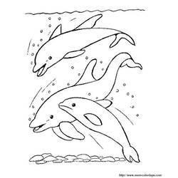 Раскраска: дельфин (Животные) #5251 - Раскраски для печати