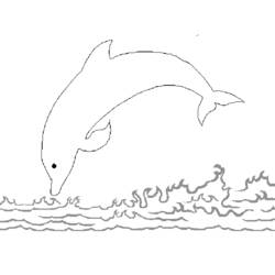 Раскраска: дельфин (Животные) #5278 - Бесплатные раскраски для печати