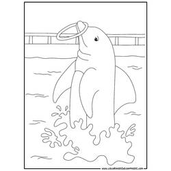 Раскраска: дельфин (Животные) #5281 - Бесплатные раскраски для печати