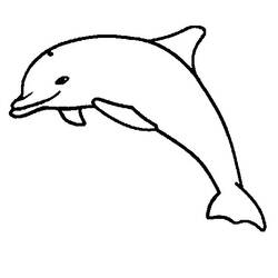 Раскраска: дельфин (Животные) #5283 - Раскраски для печати