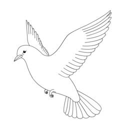 Раскраска: голубь (Животные) #3895 - Раскраски для печати