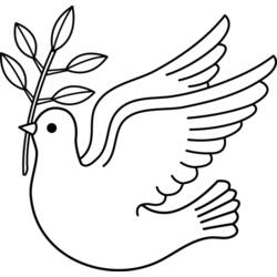 Раскраска: голубь (Животные) #3900 - Раскраски для печати