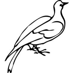 Раскраска: голубь (Животные) #3910 - Бесплатные раскраски для печати