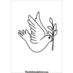 Раскраска: голубь (Животные) #3939 - Раскраски для печати