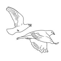 Раскраска: голубь (Животные) #3965 - Бесплатные раскраски для печати