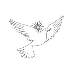 Раскраска: голубь (Животные) #3970 - Раскраски для печати