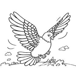 Раскраска: голубь (Животные) #4026 - Раскраски для печати