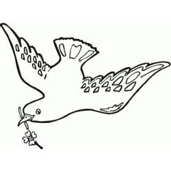 Раскраска: голубь (Животные) #4028 - Раскраски для печати