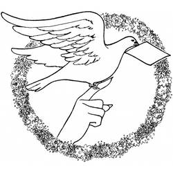 Раскраска: голубь (Животные) #4039 - Бесплатные раскраски для печати