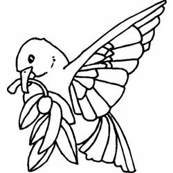 Раскраска: голубь (Животные) #4045 - Бесплатные раскраски для печати