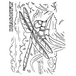 Раскраска: стрекоза (Животные) #10037 - Бесплатные раскраски для печати
