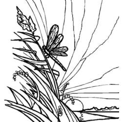 Раскраска: стрекоза (Животные) #10039 - Бесплатные раскраски для печати
