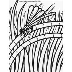 Раскраска: стрекоза (Животные) #10045 - Бесплатные раскраски для печати