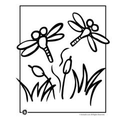 Раскраска: стрекоза (Животные) #9988 - Бесплатные раскраски для печати