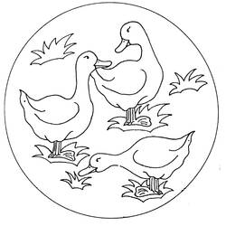 Раскраска: утка (Животные) #1469 - Раскраски для печати