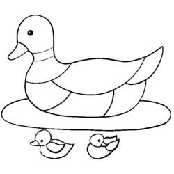 Раскраска: утка (Животные) #1477 - Бесплатные раскраски для печати