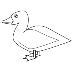 Раскраска: утка (Животные) #1492 - Бесплатные раскраски для печати