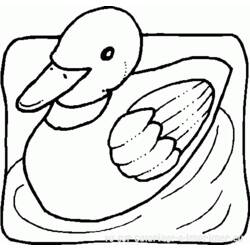 Раскраска: утка (Животные) #1508 - Бесплатные раскраски для печати