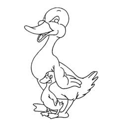 Раскраска: утка (Животные) #1510 - Бесплатные раскраски для печати