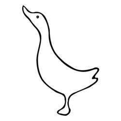 Раскраска: утка (Животные) #1514 - Бесплатные раскраски для печати