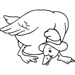 Раскраска: утка (Животные) #1539 - Бесплатные раскраски для печати