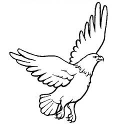 Раскраска: орел (Животные) #275 - Раскраски для печати