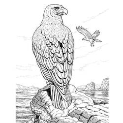 Раскраска: орел (Животные) #277 - Раскраски для печати