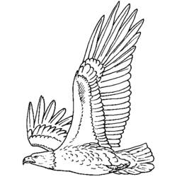 Раскраска: орел (Животные) #280 - Раскраски для печати
