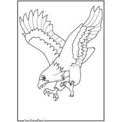 Раскраска: орел (Животные) #290 - Раскраски для печати