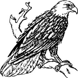 Раскраска: орел (Животные) #292 - Раскраски для печати