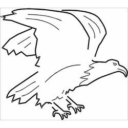 Раскраска: орел (Животные) #317 - Бесплатные раскраски для печати