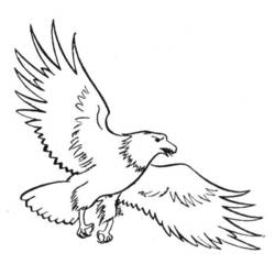 Раскраска: орел (Животные) #318 - Раскраски для печати