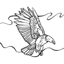 Раскраска: орел (Животные) #333 - Бесплатные раскраски для печати