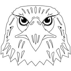 Раскраска: орел (Животные) #366 - Раскраски для печати